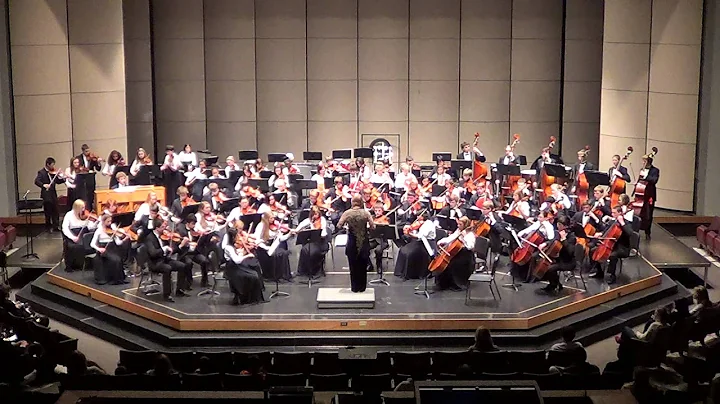 MWHS Spring Concert Combined Strings - Let It Go