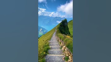 سوره القلم 🖊
