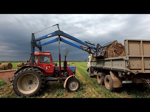 Видео: Уборка сена 2021 (люцерна) Надвигается гроза!