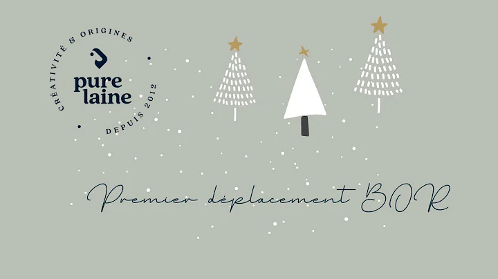 6 - Premier dplacement BOR - patron Rioux par Jenn...