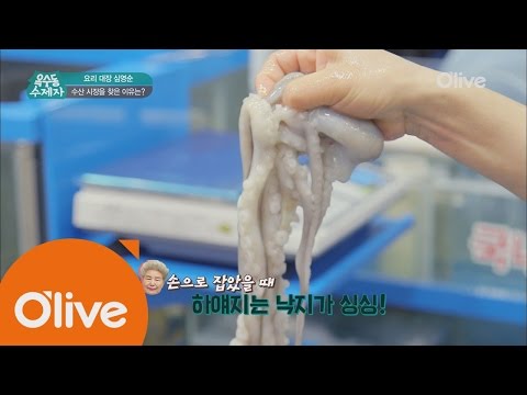 oksudongsuccessor 심샘 & 재환의 수산시장 폭풍 쇼핑! 대가의 낙지 고르는 팁은? 160803 EP.15