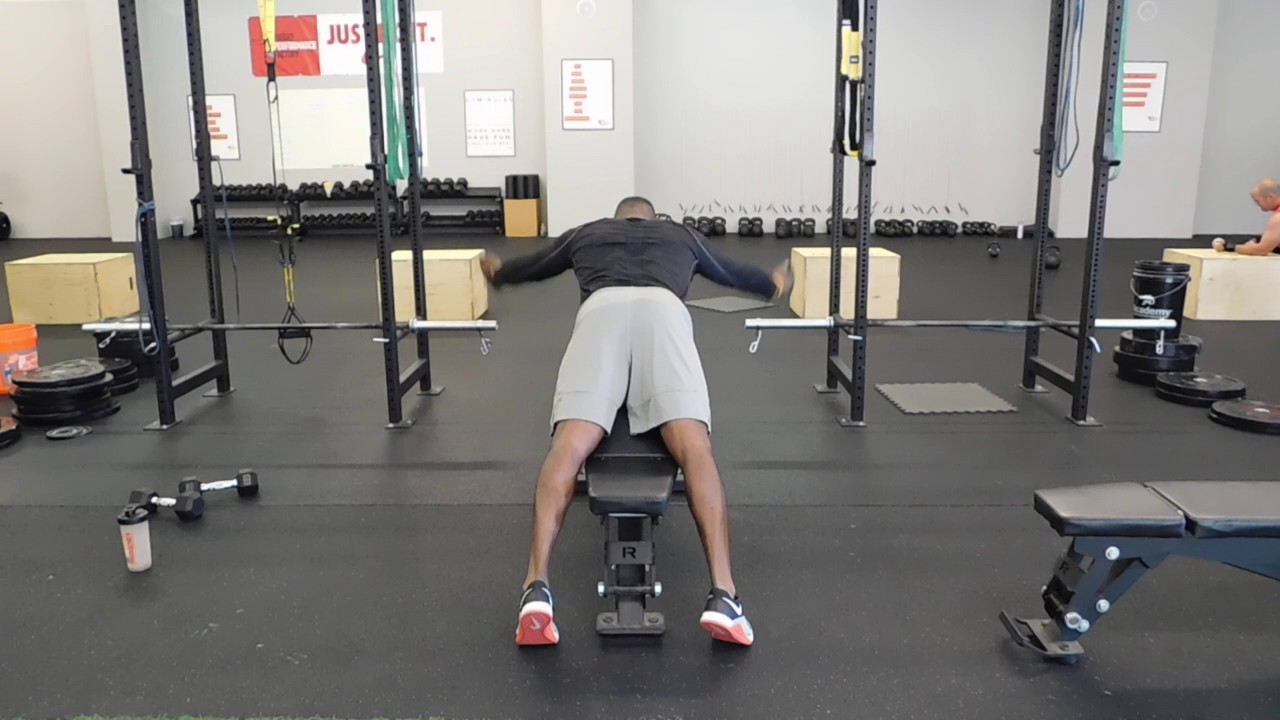 Chest Supported "Y"s YouTube