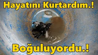 Hint Horozum Jilet Kamil Dışarda.-Bidona Saksağan Girmiş Kurtardık.-Ğüleymanpaşa