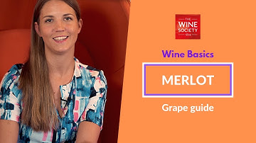 Wine Basics: Merlot: Grape Variety Masterclass