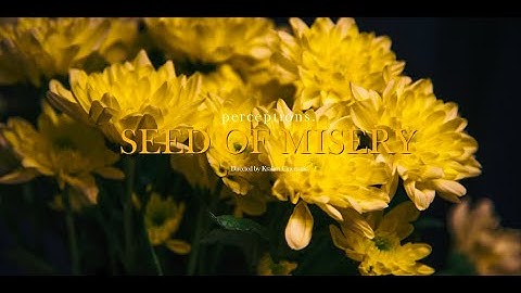 Perceptions - "Seed Of Misery" (Official Music Video)