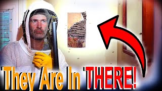 She Could HEAR THOUSANDS of Wasps IN Her Wall! UNCUT Wasp Nest Removal Video!