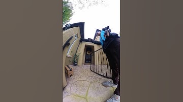 The fastest Amazon delivery driver does this daily on route!