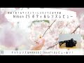 初めてのフルサイズにおすすめ!NikonZ5ボディ&NIKKOR Z50㎜F1.8レンズレビュー
