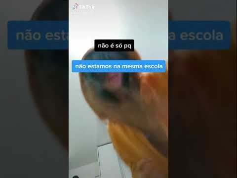 mande isso pro