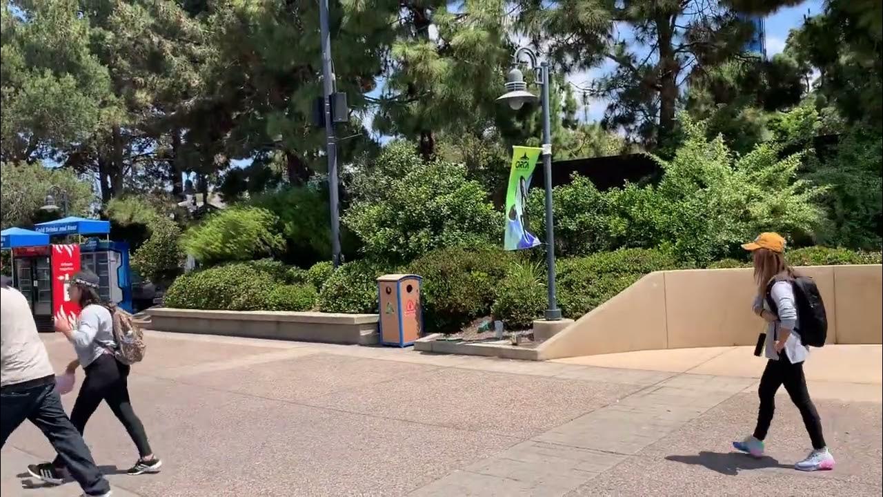 Do they allow stroller wagon in SeaWorld San Diego CA? YouTube