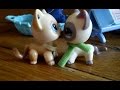 Littlest Pet Shop(LPS)"Любовь пацанки"2 сезон 1 серия"Всё!Я увезу тебя завтра в Нью-Йорк!"