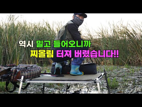 역시 밀고 들어오니까 찌올림 터져 버립니다!! 부들밭 붕어낚시