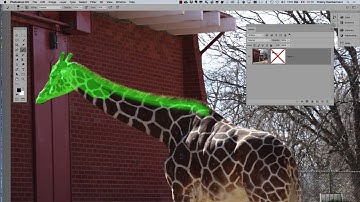 Photoshop   Puppet Warp and Cast Shadow on a giraffe   part 03   Learning Adobe Photoshop by example