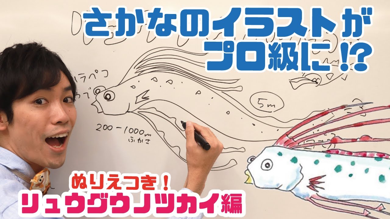 お絵描き教室 サメのイラストがうまくなる サメの解説つきレッスン Youtube