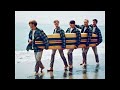 Wake The World The Beach Boys mp3