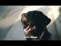 Szarpnij się na dobre słowo! - Brit Polska x Vethink Academy