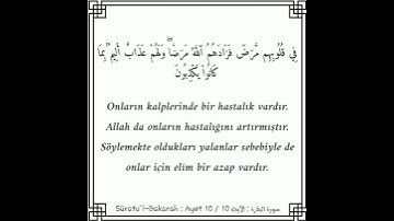 سورة البقرة | في قلوبهم مرض فزادهم الله مرضا | ماهر المعيقلي