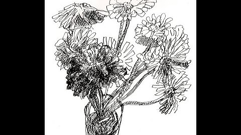 Drawing with Fountain Pens: Pilot Custom 912 with FA Flex Nib