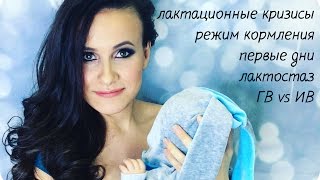 Грудное вскармливание - мой опыт. Часть 1 Грудное вскармливание - мой опыт. Часть 1