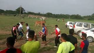 BHARASAR COMADY RAAS
