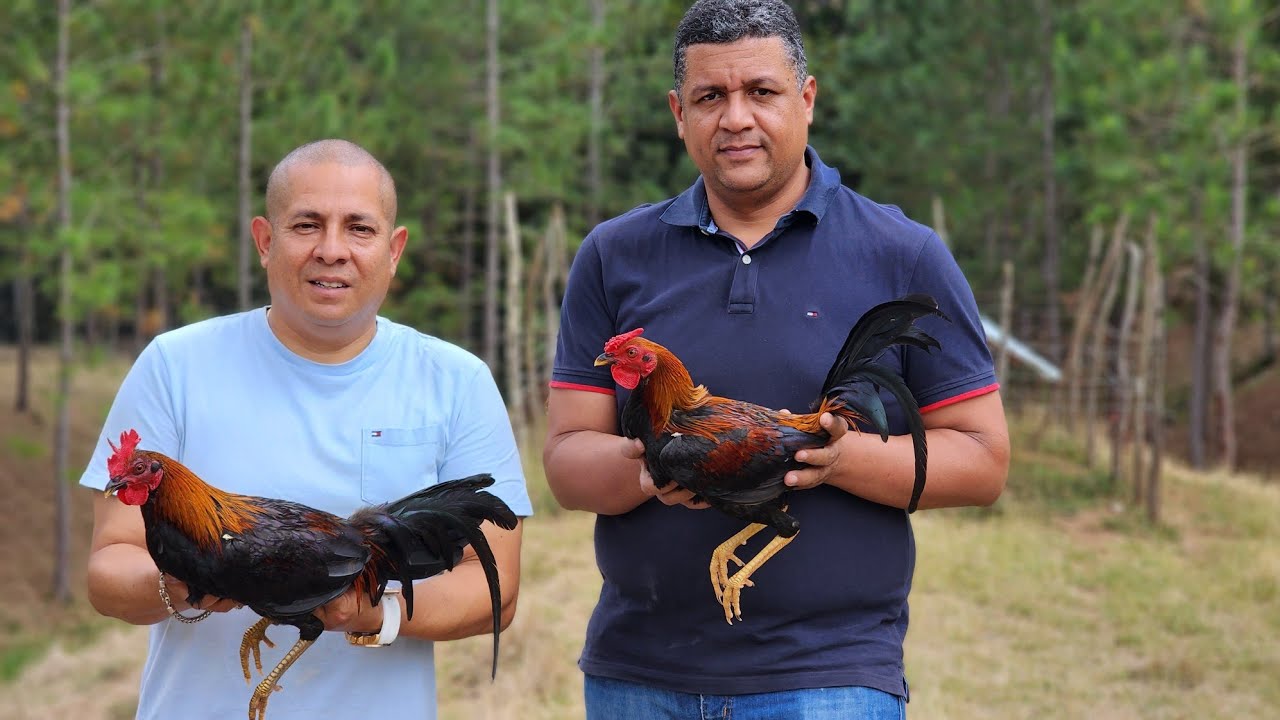 El contenido Más nutritivo del año 2025 Toma lápiz y papel antes de sentarte a ver este vídeo.