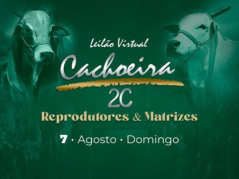 Lote 04   DIAMANTINA 2815 17 Cachoeira 2C   GCID 2815