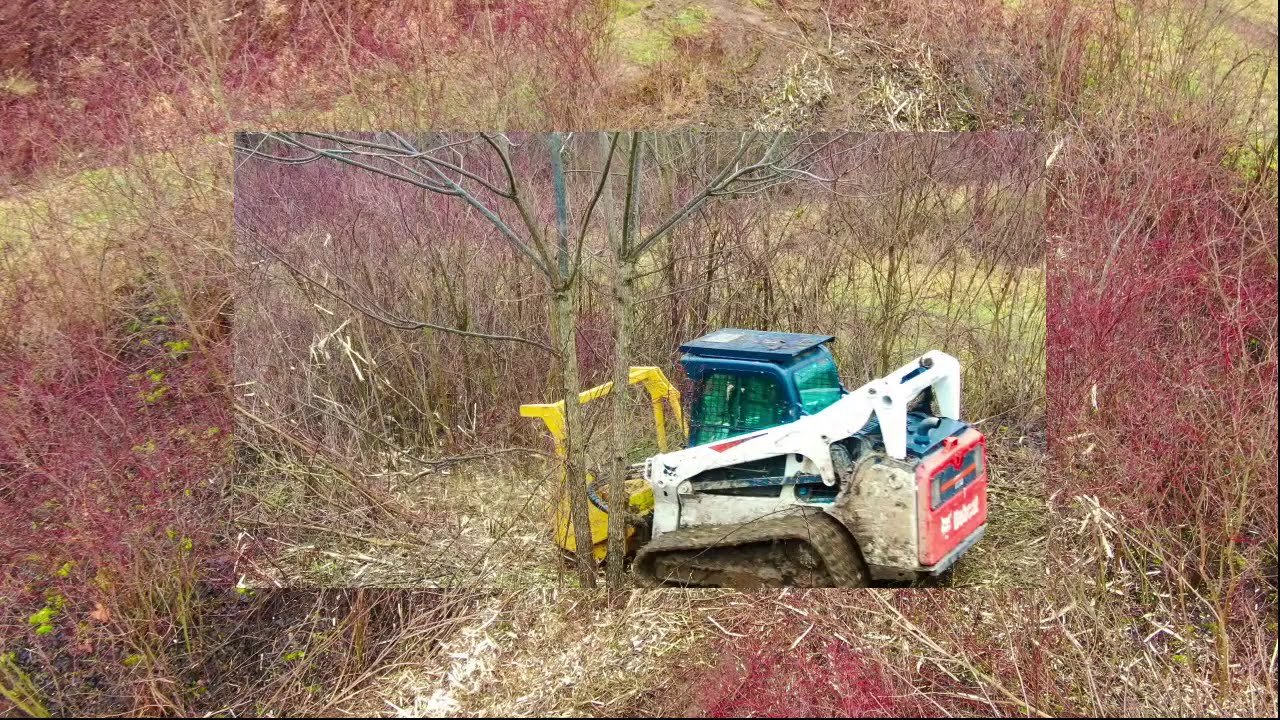 Seppi M. Miniforst CL 150 cut control