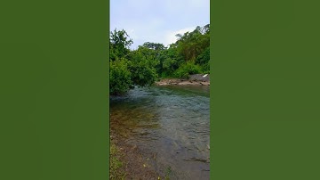 Thumbnail of Natural beauty #song #trending #traveladdict
