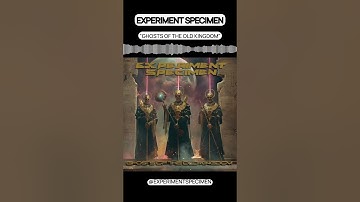 Mastering Highlights of 2025 - Number 2 🤘