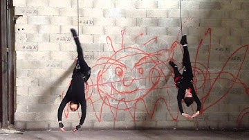 Cecile Klaus - Vertical Dance Training