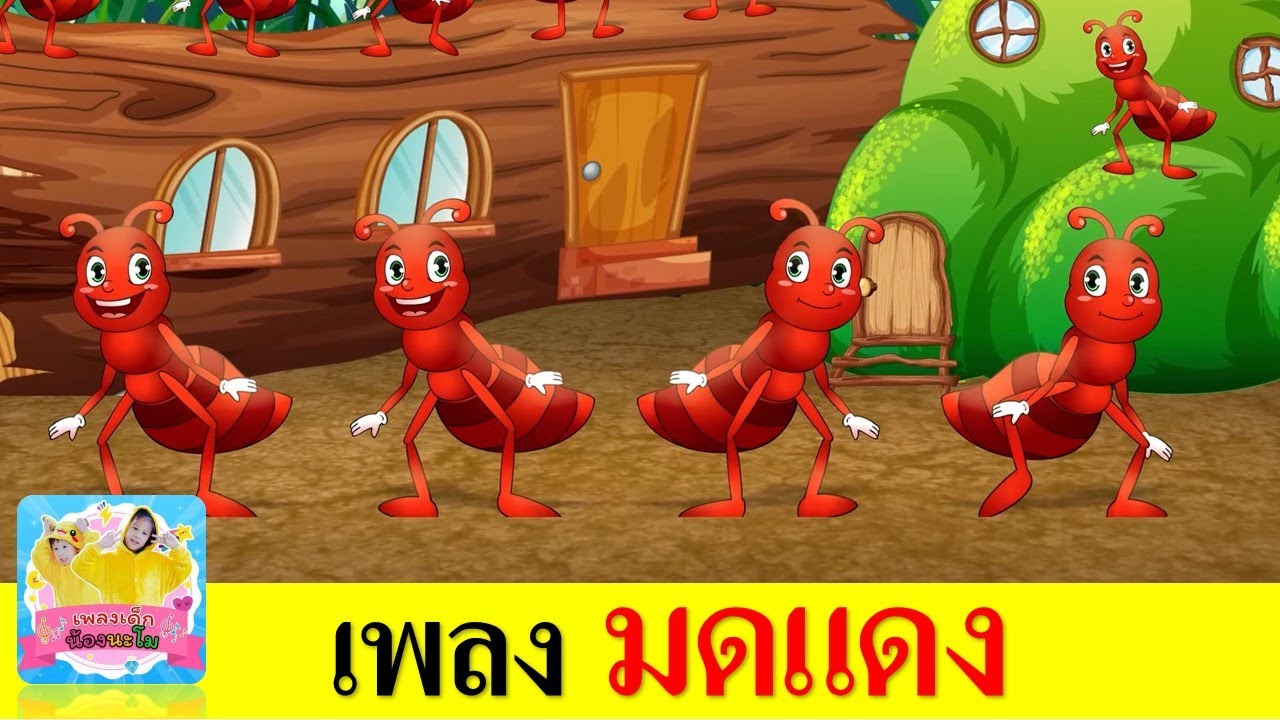 เพลงมดแดง | เพลงใหม่2566 | เพลงมด | มดแดงเกาะแข้งเกาะขา | สื่อการเรียนรู้เรื่องสัตว์