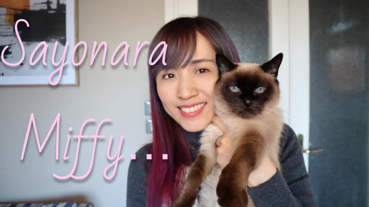 Piccola storia di Miffy.