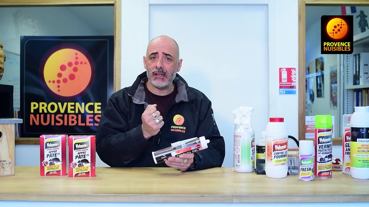 Kit anti souris, souricide, en vente chez rovence nuisibles