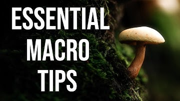 Essential macro tips I wish I