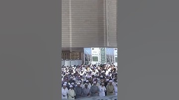 سورة القلم الشيخ أحمد بن طالب بن حميد