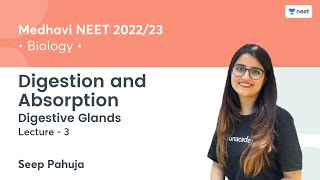 Digestion and Absorption | Digestive Glands | L3 | NEET 2022/23 | Unacademy NEET | Seep Pahuja