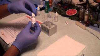 Synthesis of Fragrant Esters Lab Part I & II