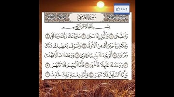 القران الكريم 👍 سورة الضحى 👍