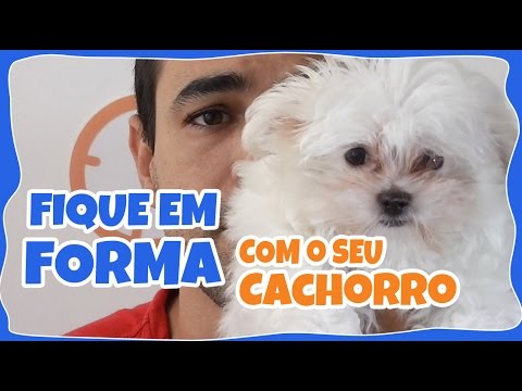 Vídeo: O Relaxamento Pós-treino Para O Seu Cão