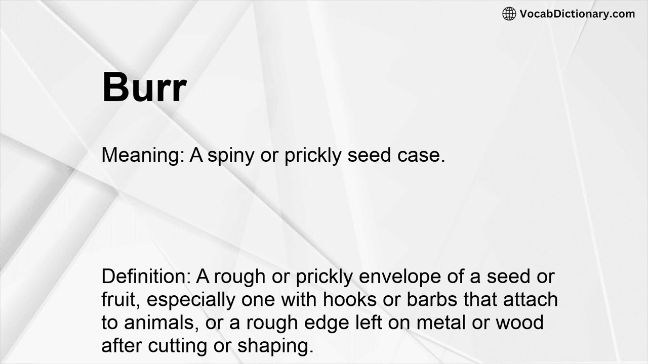 Burr Meaning