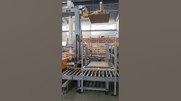 Low lever pallet palletizer for cartons and bags ,online pallet wrapping machine