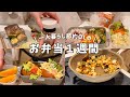 【お弁当1週間】毎日ランチが楽しみすぎる一人暮らし社会人の節約弁当🥢🌷 / 白菜しゅうまい / スープジャー 