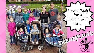 How I Pack for...a FULL Day at Disneyland for a LARGE Family