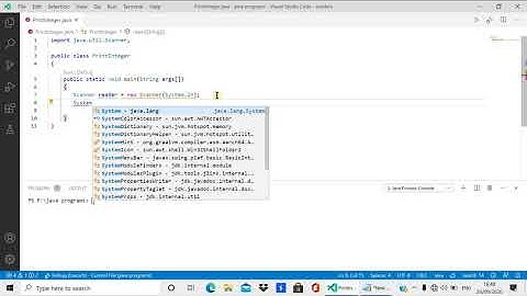 #3 print an Integer (Entered by user) in java