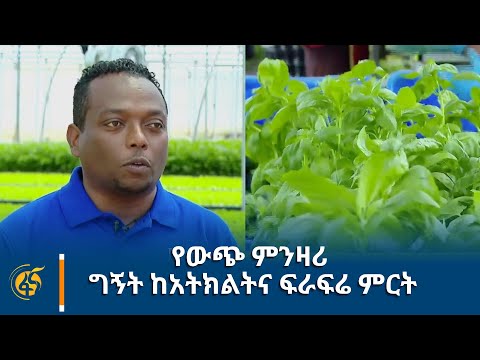 ቪዲዮ: Persimmon የማዳበሪያ መመሪያ - የፐርሲሞን ዛፍ ምን ያህል ማዳበሪያ ያስፈልገዋል