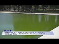 Hydrogen peroxide being used to fight algae in Reflecting Pool