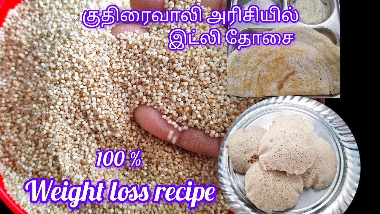 குதிரைவாலி அரிசியில் பஞ்சுபோல இட்லி தோசை | kuthiraivali Arisi Idli Dosa | Barnyard Millet recipe