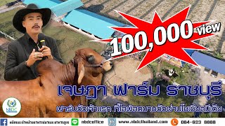 เจษฎา ฟาร์ม ราชบุรี ฟาร์มวัวที่ไลฟ์สดขายวัวในโซเชียลมีเดีย เจ้าแรกในประเทศไทย