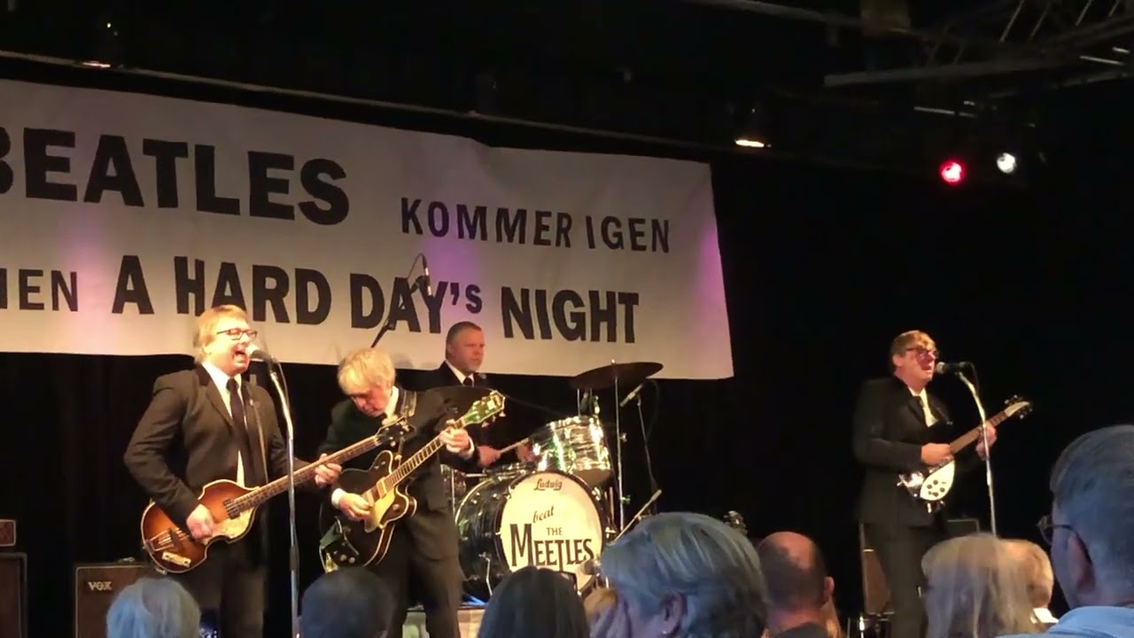 Beat the Meetles - I Saw her stranding there