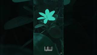 Velli Malare Piano Version